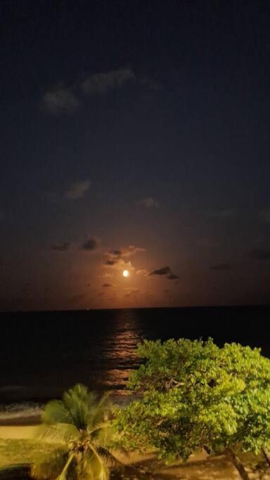 Flat Caribe A Beira Beira-mar Apartamento